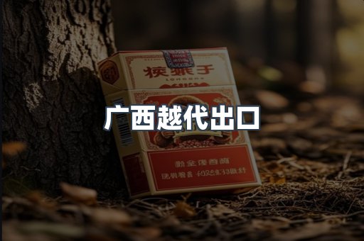 广西越代出口